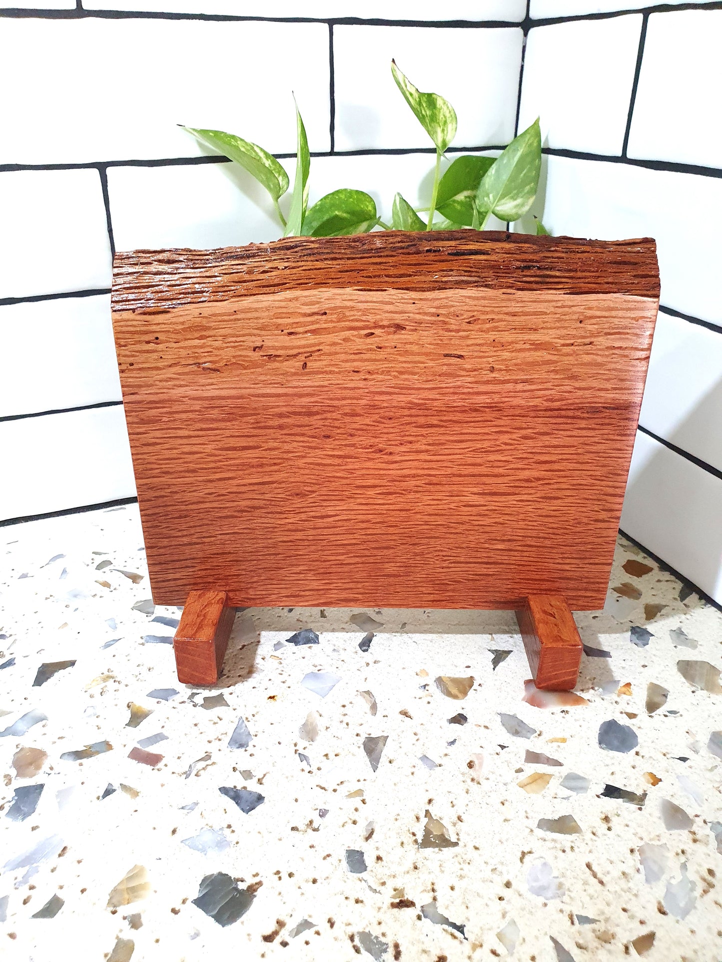 Wooden planter with green plant on a terrazzo floor