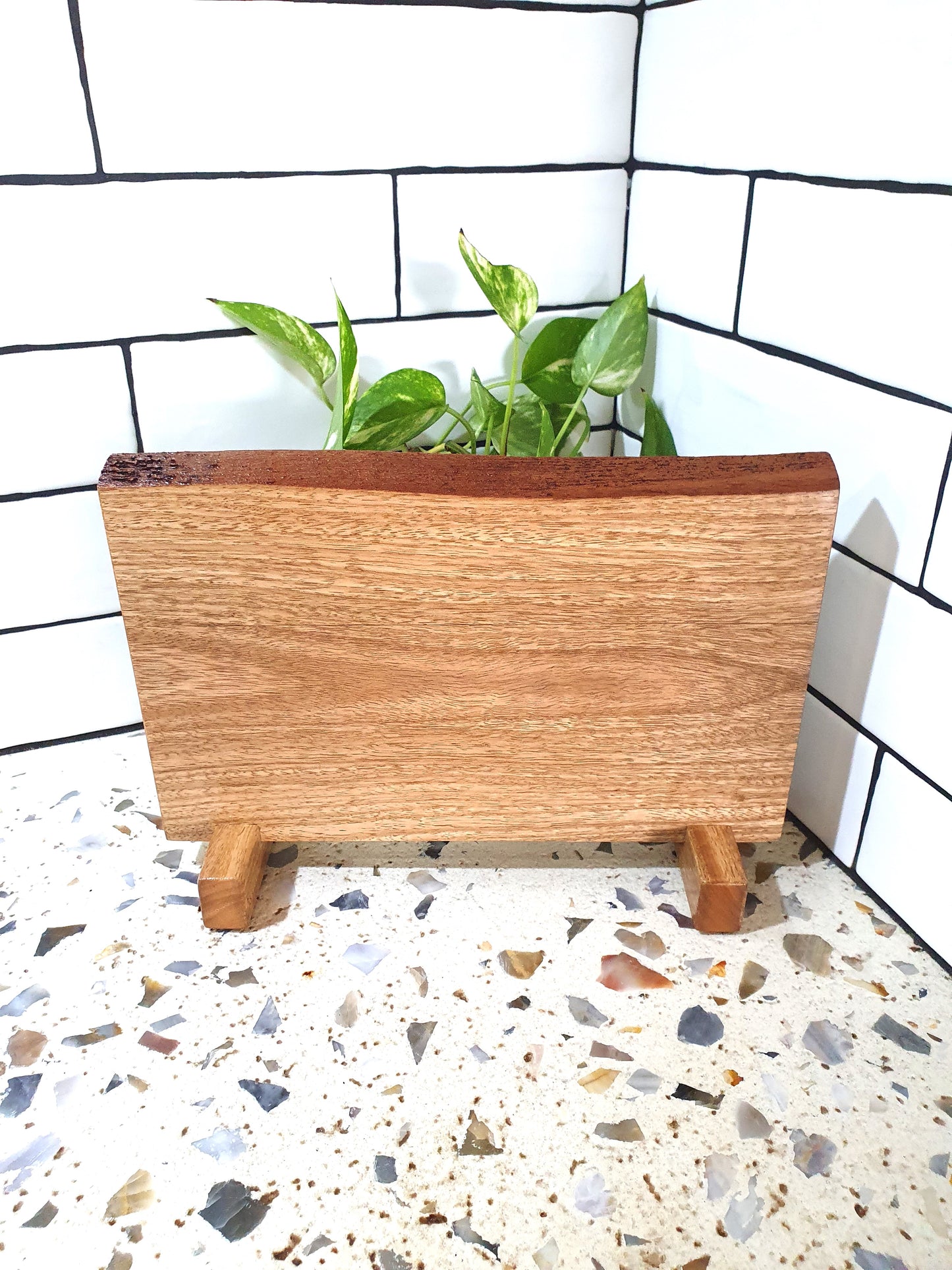 Wooden planter with a plant on a terrazzo floor with a tiled wall background