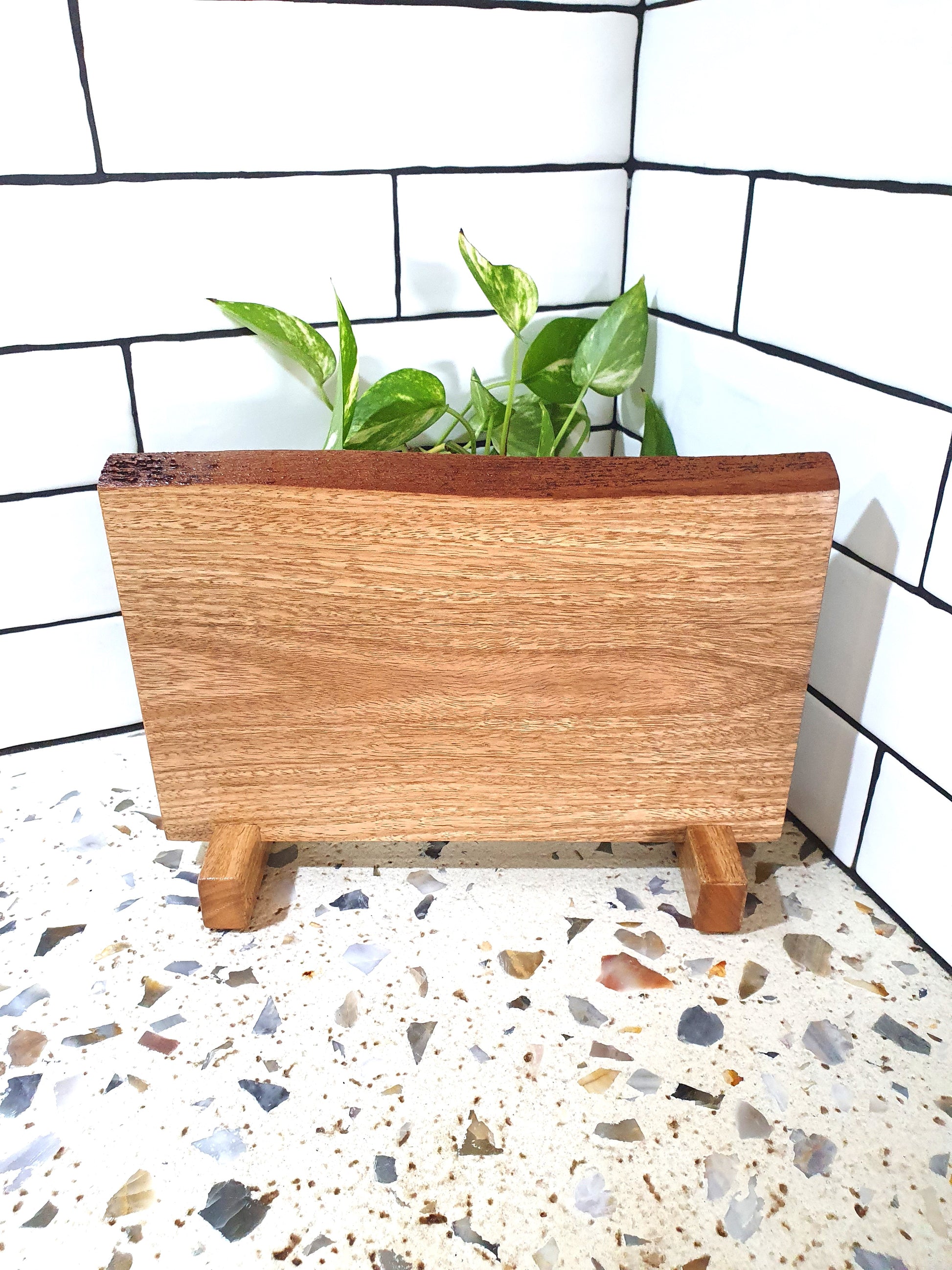 Wooden planter with a plant on a terrazzo floor with a tiled wall background