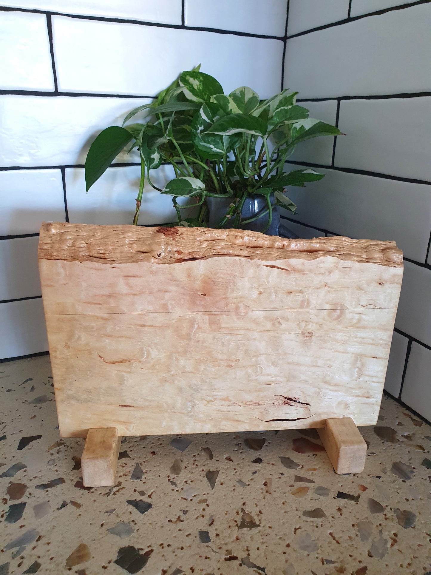 Wooden cutting board with plant on a tiled floor