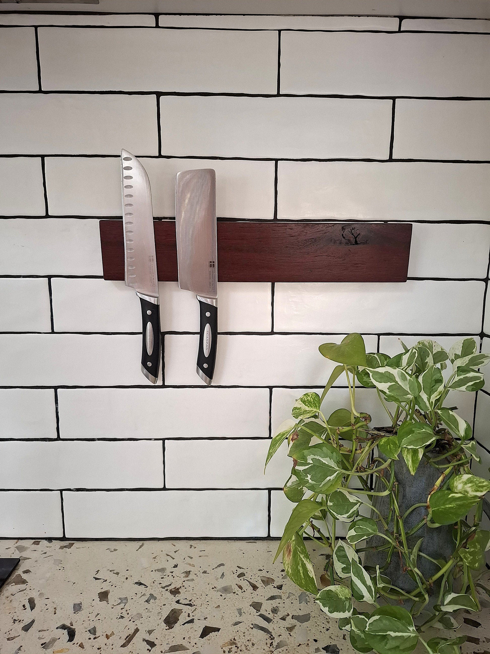 Two knives on a magnetic knife holder against a tiled wall with a plant in the foreground.